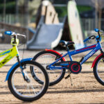 PAP0004_MG_0343